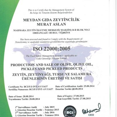 ISO Belgesi