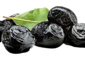 Siyah Zeytin